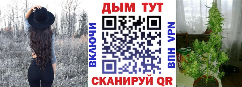 Купить где  Каменск-Уральский  Конопля THC 21% 